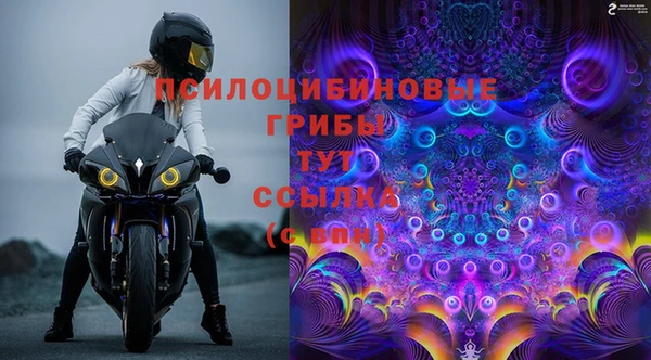 прущая мука Пересвет
