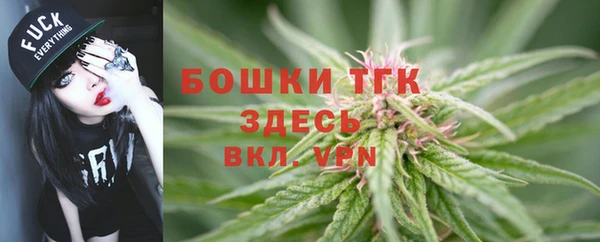 PSILOCYBIN Переславль-Залесский