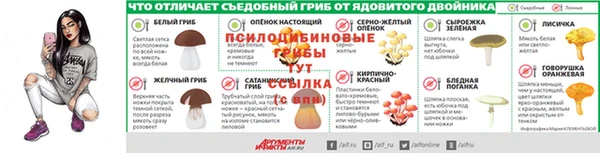 PSILOCYBIN Переславль-Залесский