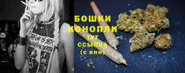 PSILOCYBIN Переславль-Залесский