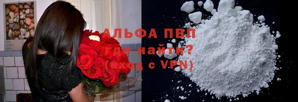 PSILOCYBIN Переславль-Залесский