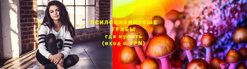 хочу   Белая Холуница  mega вход  Галлюциногенные грибы GOLDEN TEACHER 