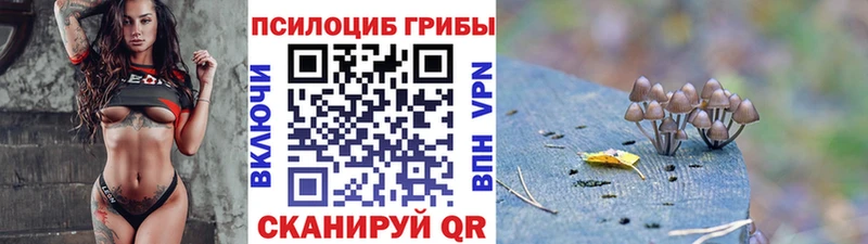 где купить наркоту  Белая Холуница  Псилоцибиновые грибы GOLDEN TEACHER 